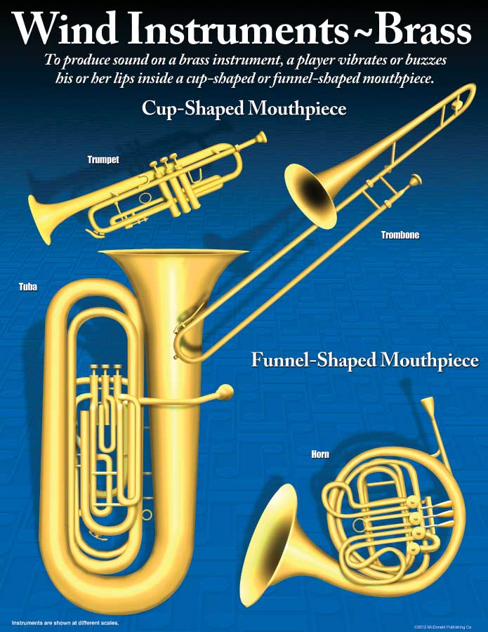 Buy Symphony Orchestra Instrument Poster Set | Music Media | Signs and ...