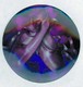 Ballet Mylar Medallion